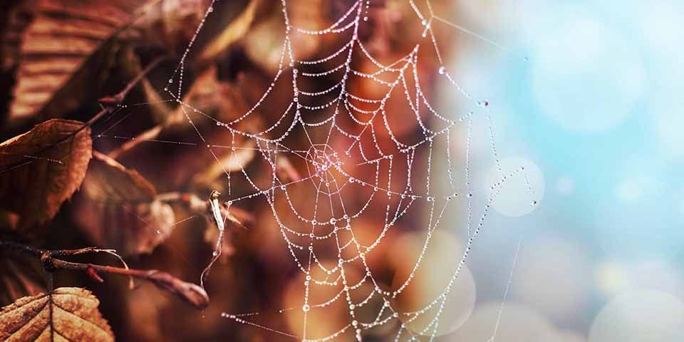 雲林當鋪借錢會有紀錄嗎?合法當鋪查詢系統聯徵教你避開汽車借款陷阱