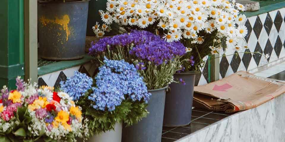 雲林斗南當鋪借款實錄!急用錢如何向合法斗南當舖借款?