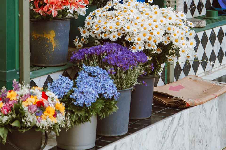 雲林斗南當鋪借款實錄!急用錢如何向合法斗南當舖借款?